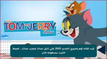 تردد قناة توم وجيري الجديد 2025 على نايل سات وعرب سات.. ضبط التردد بسهولة الآن